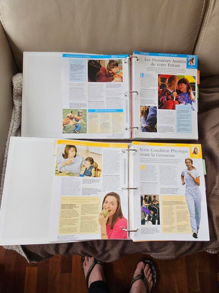 Gratuit 2 classeurs avec fiches : avoir un bébé..., Enlèvement, Comme neuf