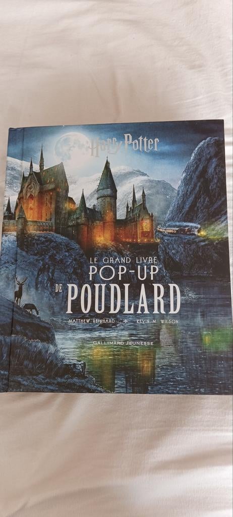 Le grand livre pop-up Poudlard (1130 Bruxelles Haren)
Remise, Collections, Harry Potter, Enlèvement, Comme neuf