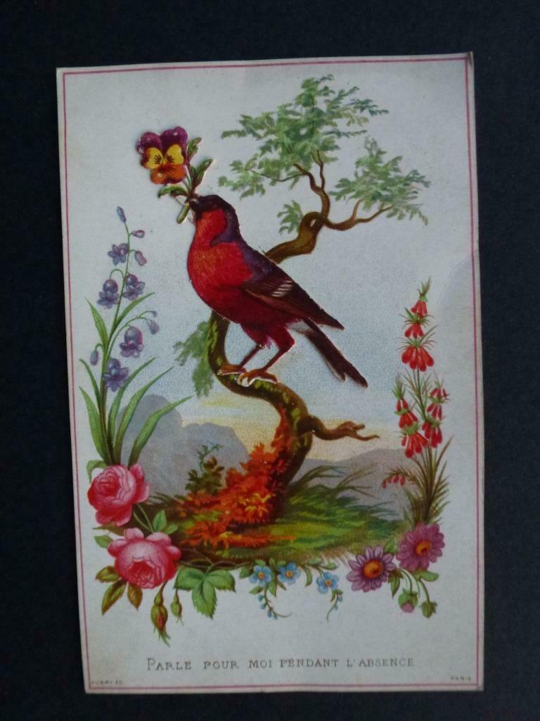 oud prentje met opgeplakt vogeltje Parle pour moi pendan, Verzenden, Zo goed als nieuw, Dier, Prent
