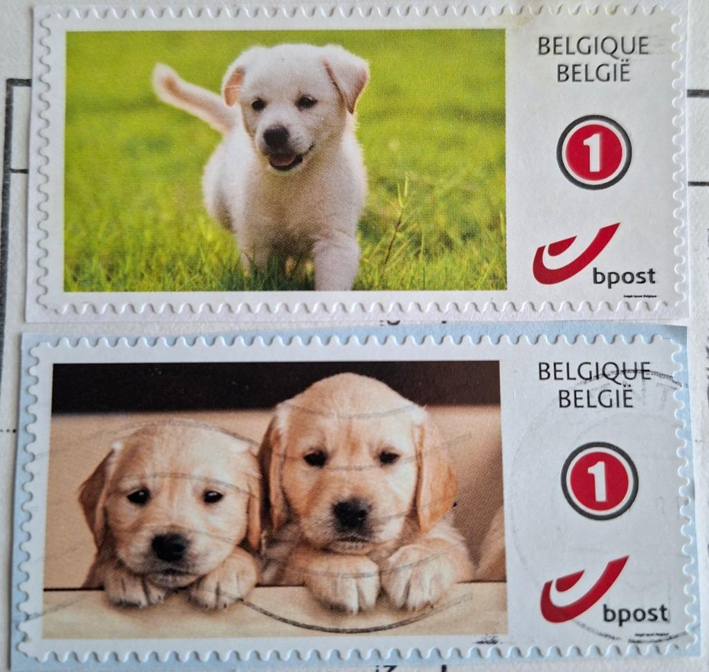 Postzegels België - Thematische zegels, Ophalen of Verzenden, Gestempeld, Dier of Natuur