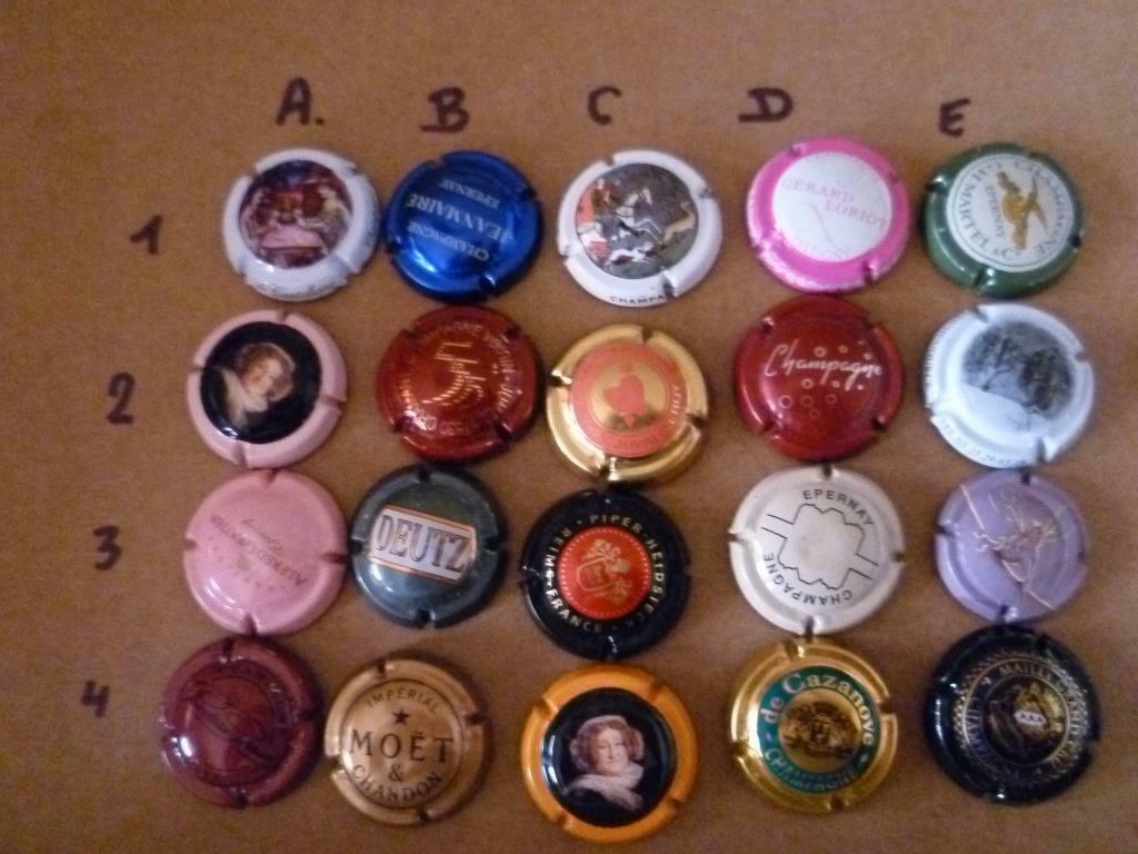 CHAMPAGNECAPSULS , 20 verschillende voor 20 euro, Verzenden, Gebruikt, Overige typen