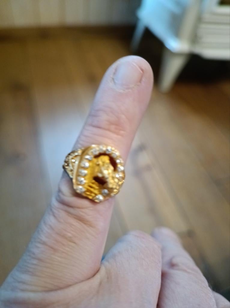 Gouden hoefijzer paard 18k, Enlèvement
