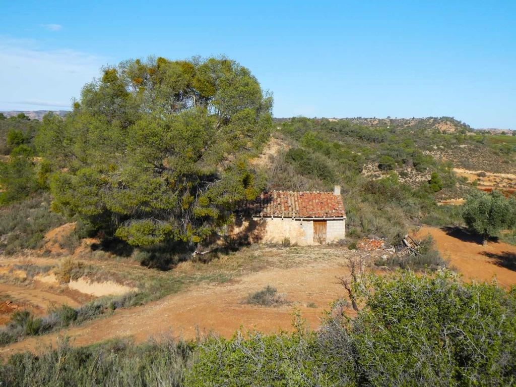 Finca in Maella (Aragon, Espagne) - 1037, Immo, Étranger, Autres types, Espagne, Campagne