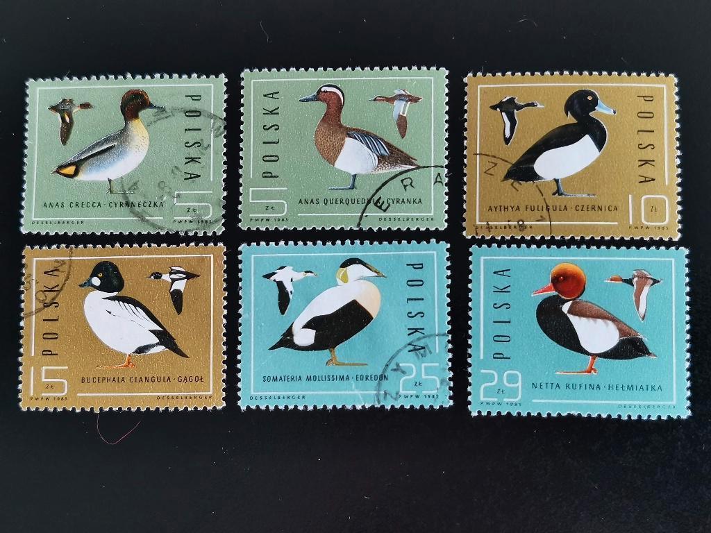 Pologne 1985 - oiseaux - canards, Timbres & Monnaies, Enlèvement ou Envoi, Pologne, Affranchi