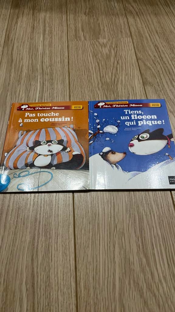 Lot de 2 livres Premières lectures Hatier de poche, Livres, Enlèvement ou Envoi, Utilisé