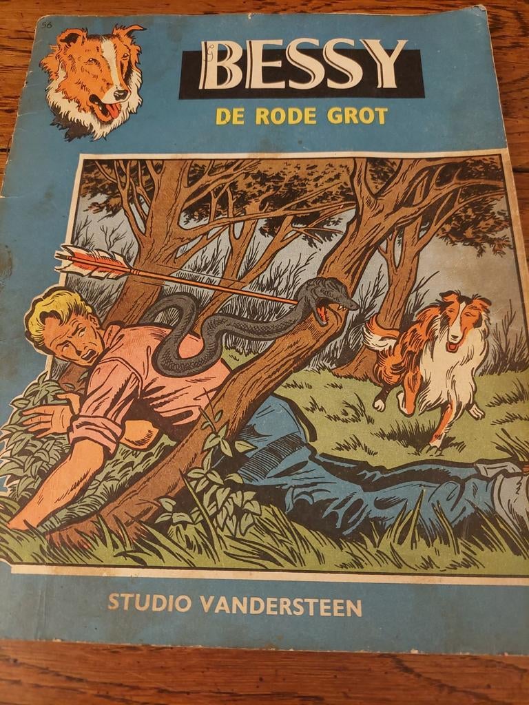 BESSY DE RODE GROT, Ophalen of Verzenden, Gelezen