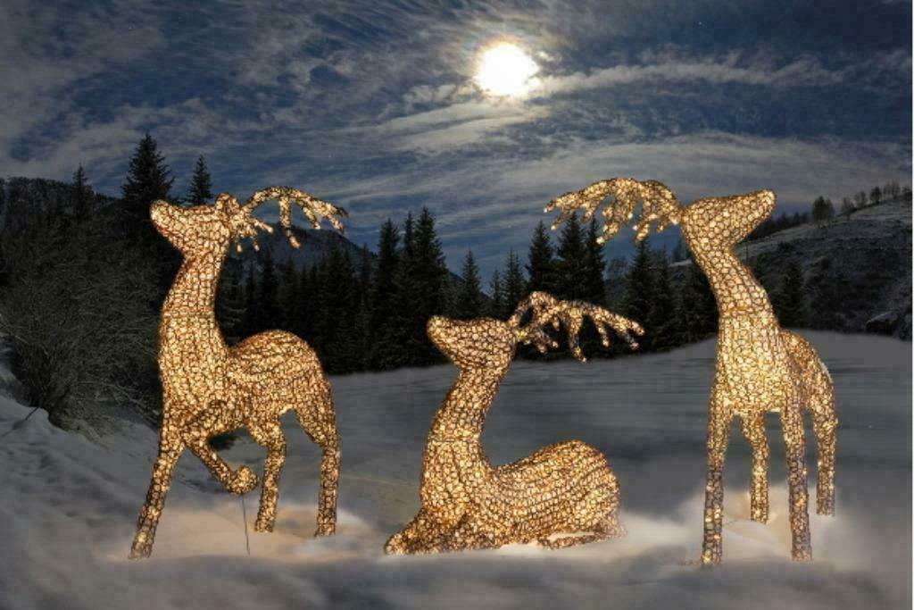 Exclusieve Rendieren Familie Glasoptiek Met Led-Verlichting, Diversen, Kerst, Verzenden, Nieuw