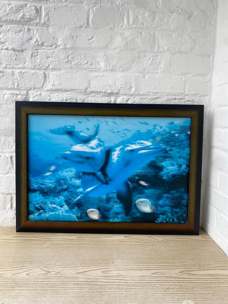 Grand tableau dauphins avec effet 2D, Enlèvement ou Envoi