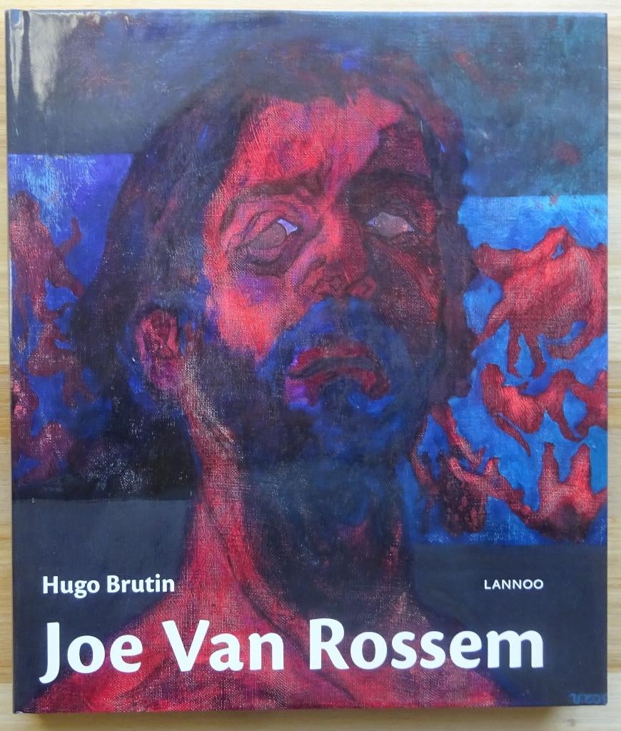 Joe Van Rossem, monografie, 2009 Lannoo, Peinture et dessin, Enlèvement ou Envoi, Comme neuf, Hugo Brutin