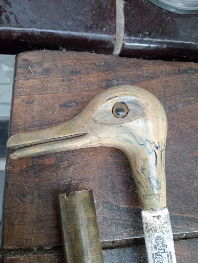 Canne de collection ( trizona del cid)