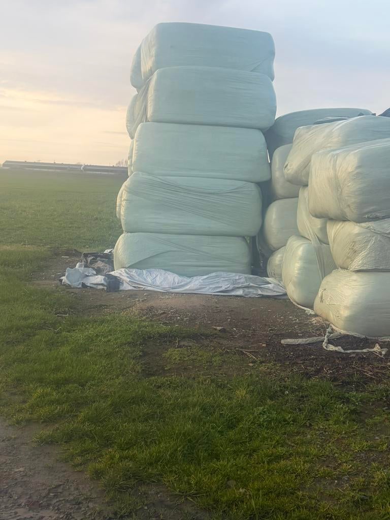 Graspakken, Zakelijke goederen, Landbouw | Veevoer, Ophalen