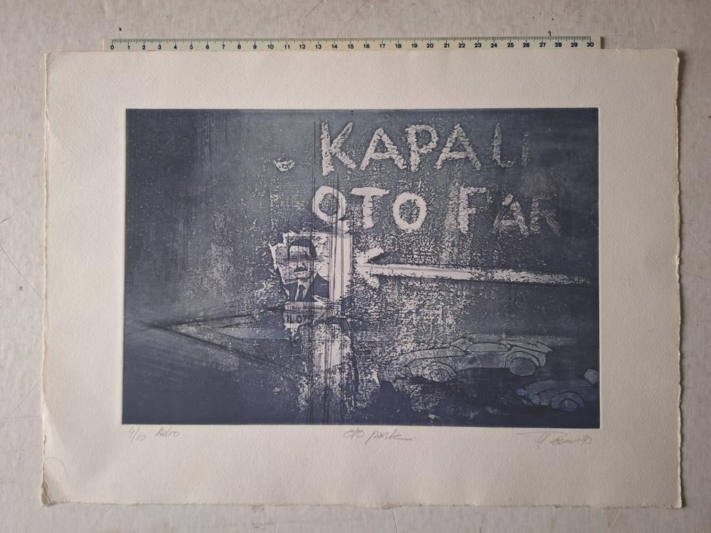 Ets in het blauw van Veerle Rooms "Kapali Oto Park" uit 1993, Antiek en Kunst, Ophalen of Verzenden