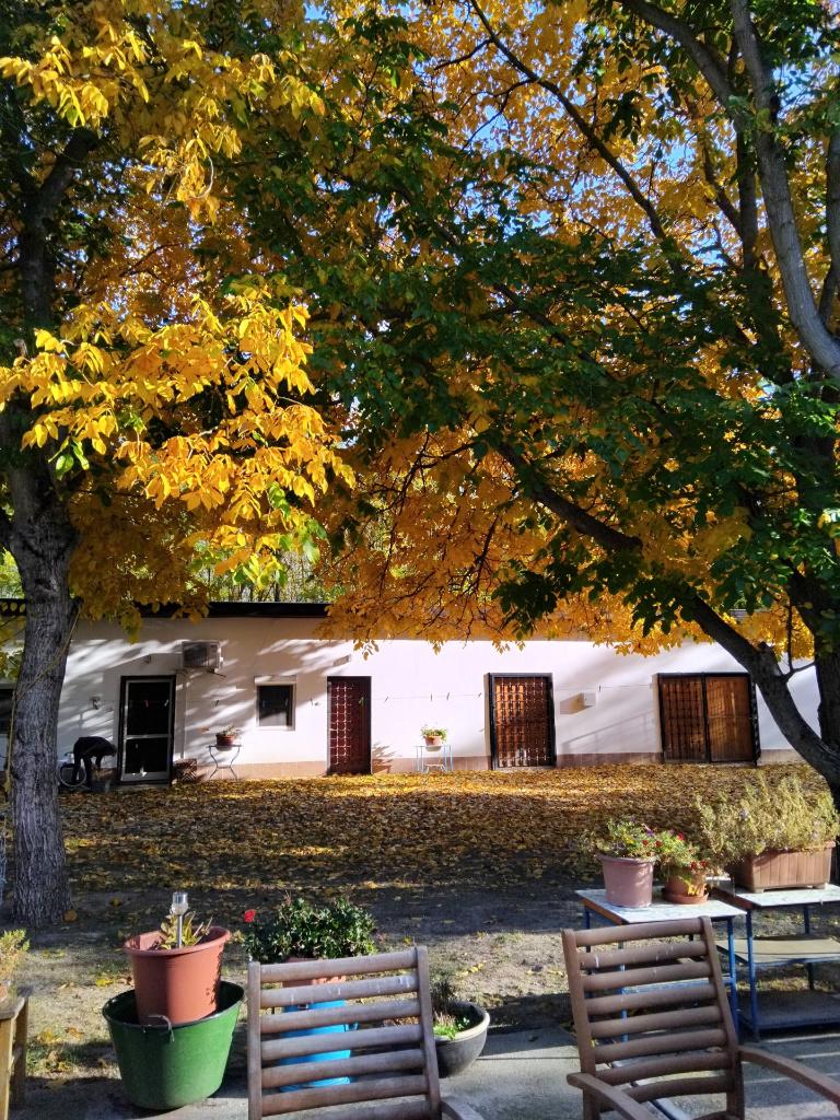 Eén prijs, twee wooneenheden, gelegen in Hongarije., Village, Maison d'habitation, 5 pièces, Mikebuda