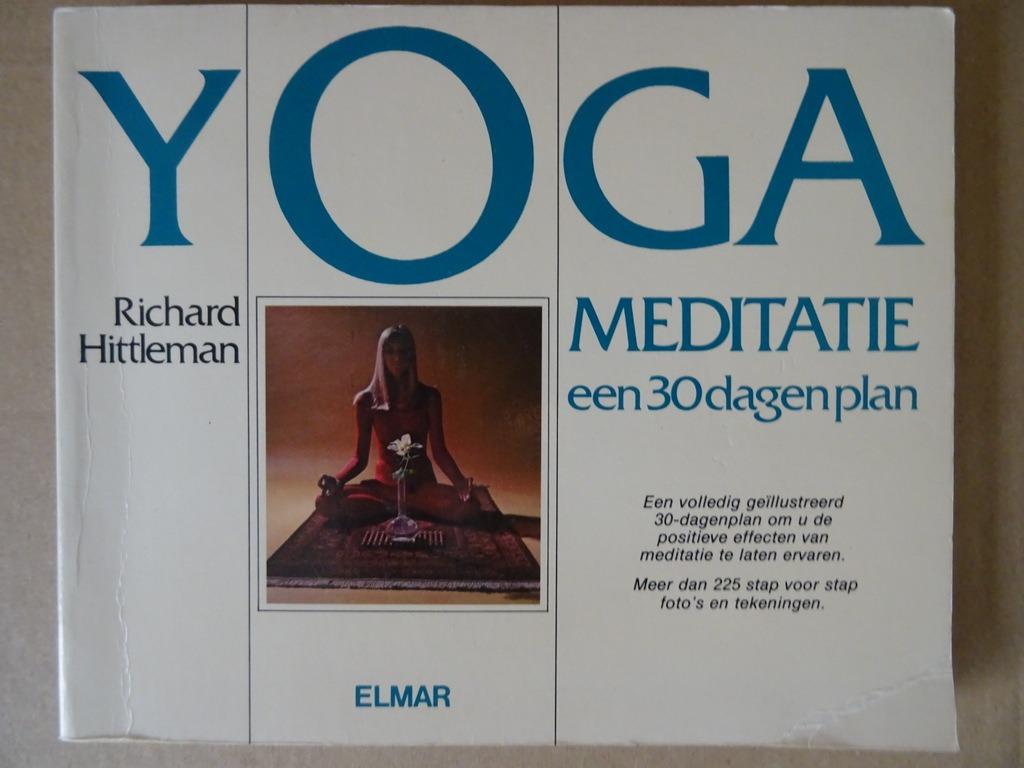 Livre yoga Richard Hittleman Yogameditatie een 30 dagen plan, Livres, Ésotérisme & Spiritualité, Richard Hittleman, Enlèvement ou Envoi