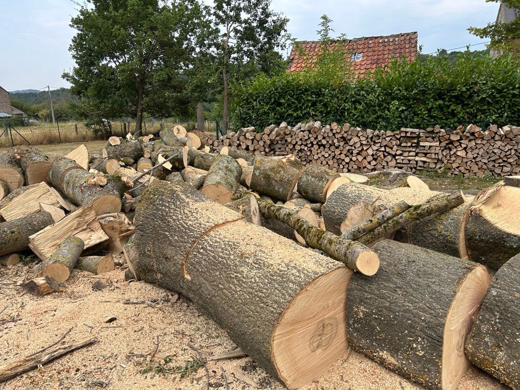 Bois à fendre, 6 m³ ou plus, Enlèvement, Frêne, Troncs d'arbres