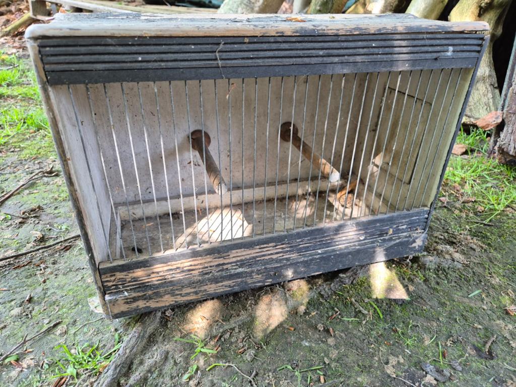 VogelKot kooi in mindere staat wel dicht goed voor transport, Dieren en Toebehoren, Vogels | Hokken en Kooien, Ophalen