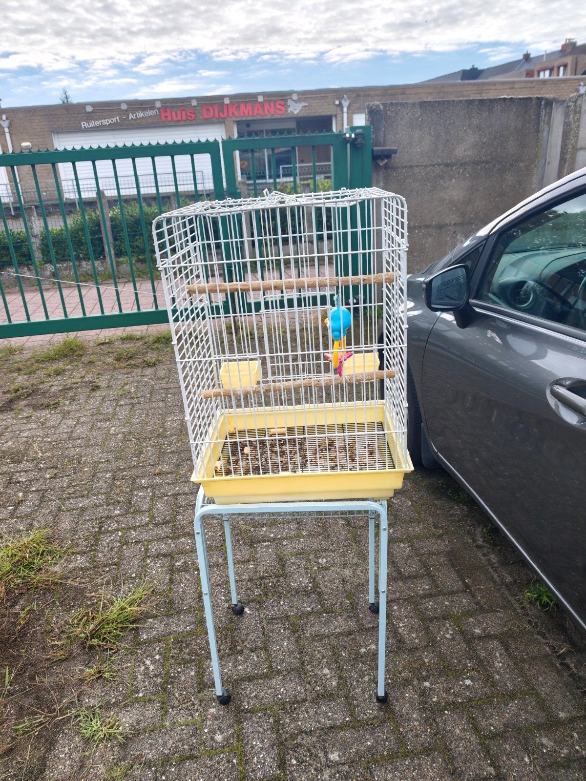 tekoop papegaai kooi wegens aankoop andere kooi, Ophalen