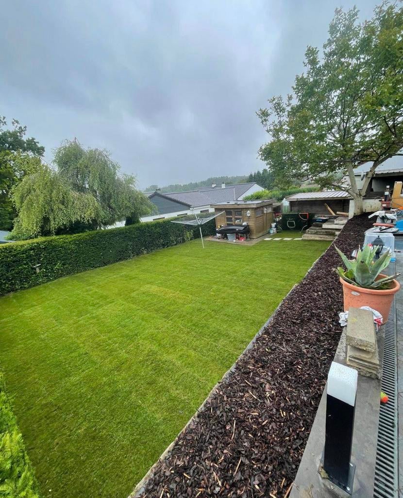 Rouleaux de gazon naturel ️  :️0465 85 41 58, Ophalen of Verzenden, Nieuw, Kunstgras