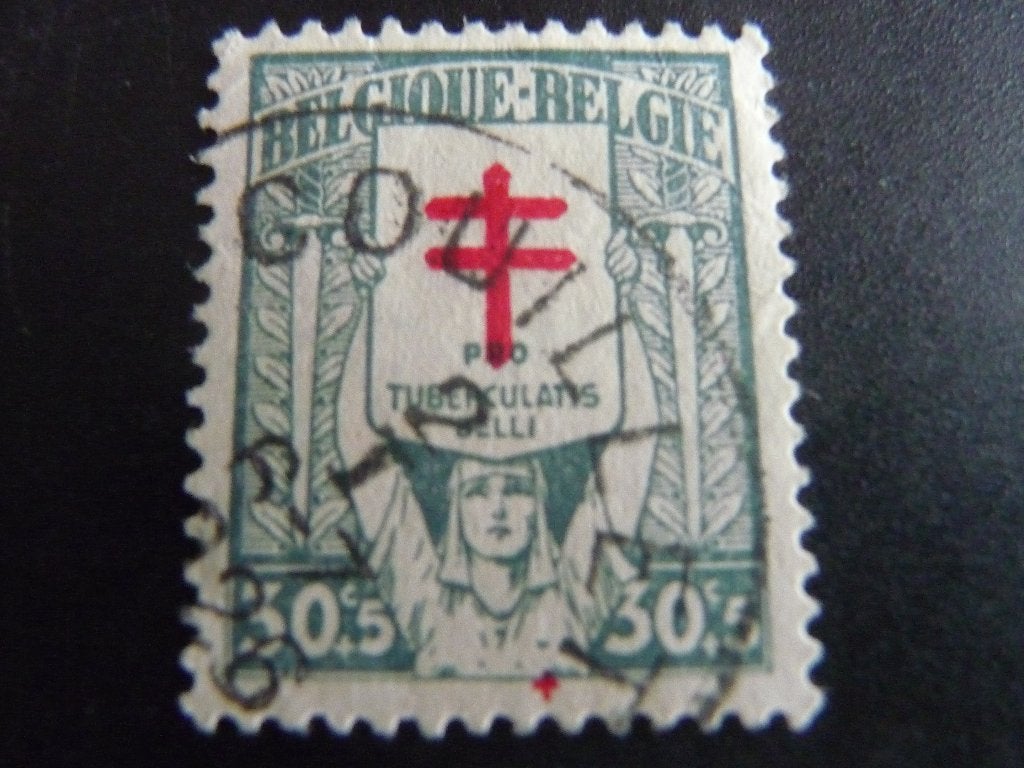 belgie nr 235 (o), Ophalen of Verzenden, Gestempeld