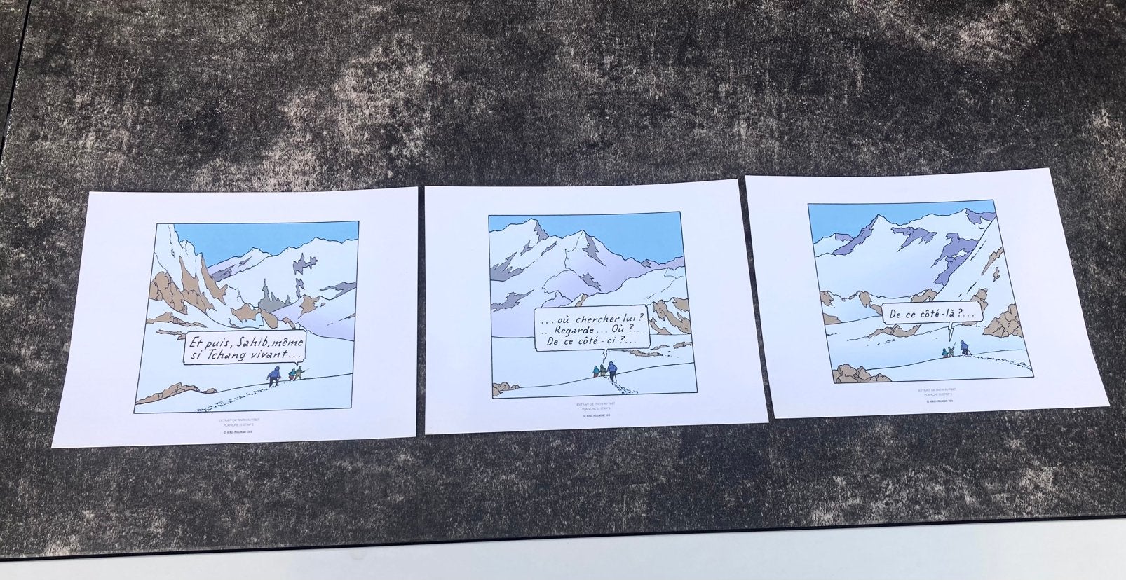 Tintin au Tibet 3 sérigraphie ou ex libris - 2010, Enlèvement ou Envoi, Tintin, Comme neuf, Image, Affiche ou Autocollant