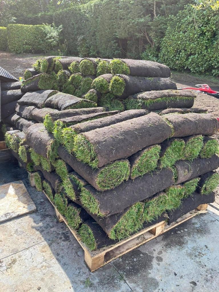 gazon en rouleau ou en semis, Tuin en Terras, Gras en Kunstgras, Nieuw, Gras, 20 m² of meer, Ophalen
