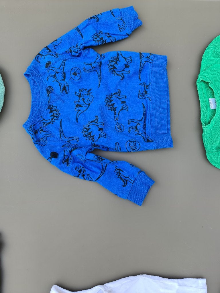 blauwe pull, trui met dinos 12m 80cm, Kinderen en Baby's, Babykleding | Maat 80, Ophalen, Zo goed als nieuw