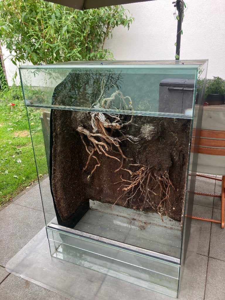 Terrarium, Ophalen, Gebruikt, Terrarium of Paludarium