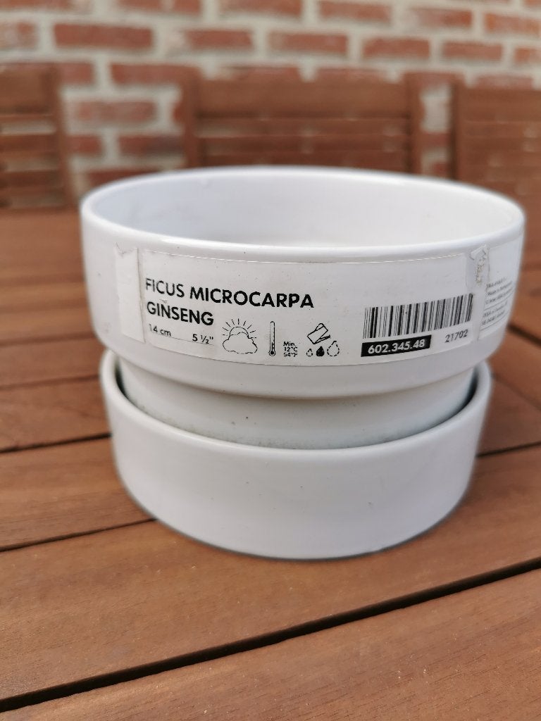 Ikea bloempotje, Tuin en Terras, Bloempotten, Ophalen, Gebruikt