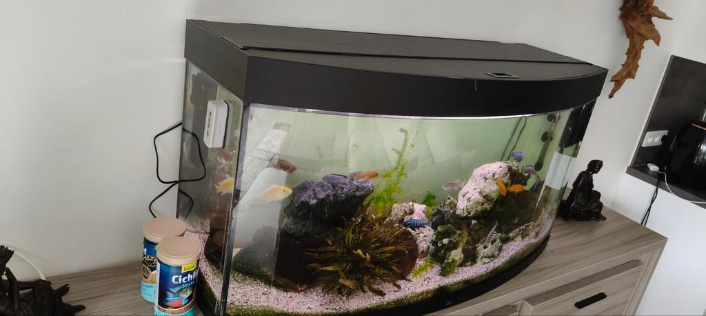 Aquarium 120cm, Ophalen, Verwarming, Filter, Juwel