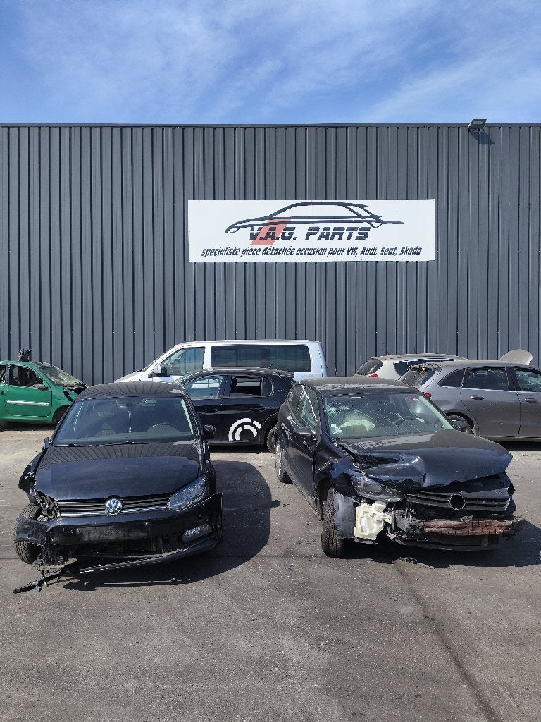 Pro Volkswagen Polo 5 6r 6c 1.2l essence, Enlèvement, Utilisé, Volkswagen