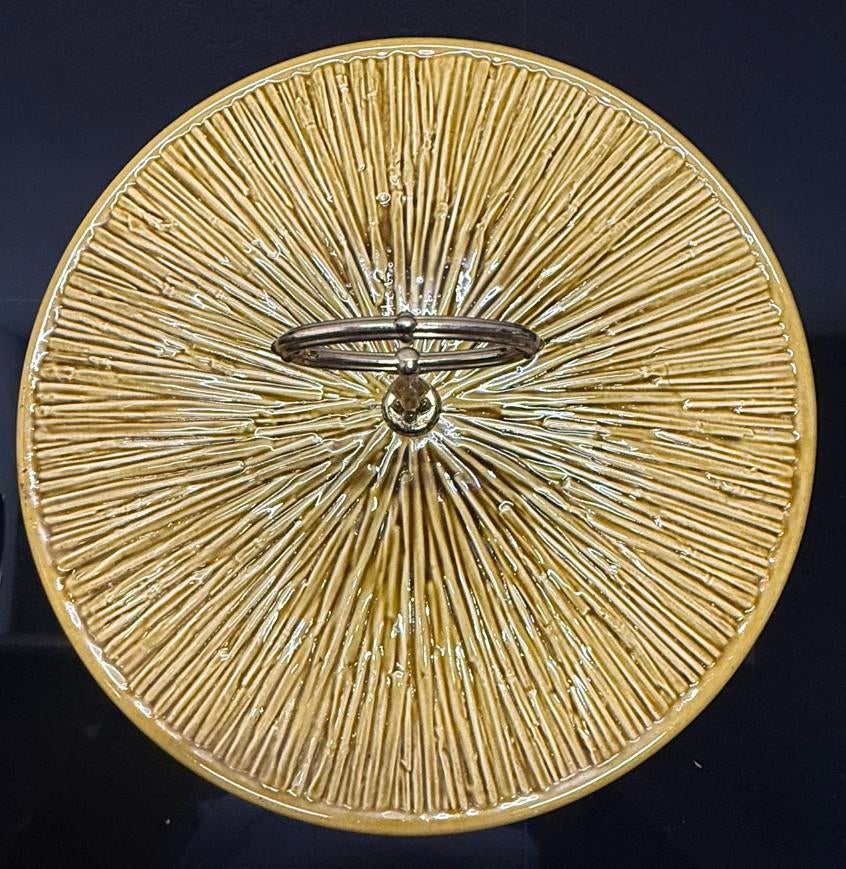 Boch keralux decor paille, Ophalen of Verzenden