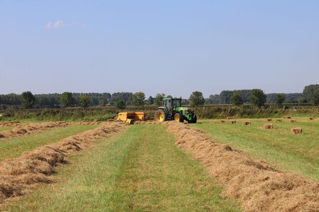 hooi, Ophalen of Verzenden