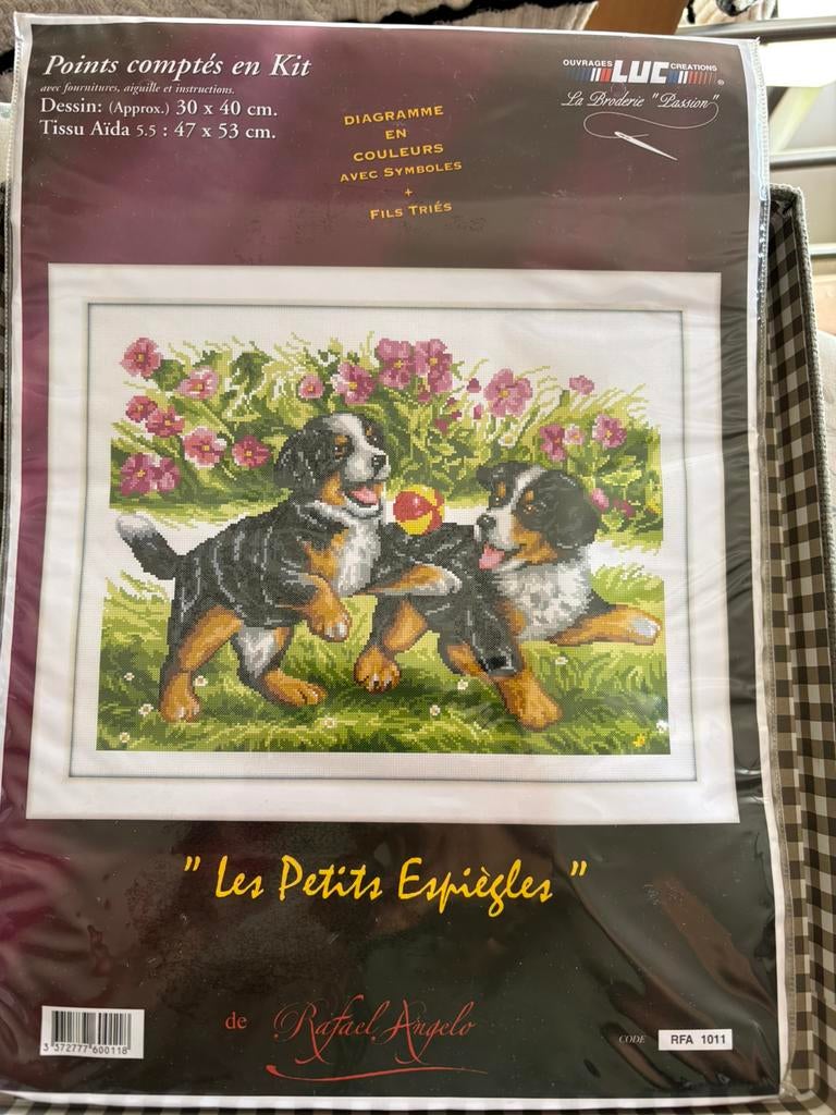 Kruissteekpakket 101, Ophalen of Verzenden, Nieuw