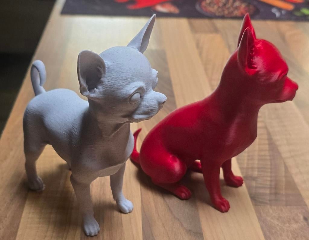 Chihuahua, Enlèvement ou Envoi