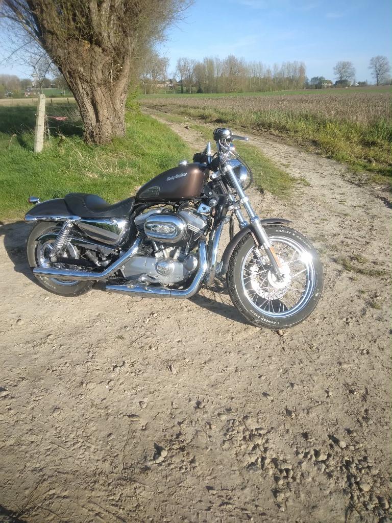 Harley Davidson Sportster 883, Motoren, Motoren | Harley-Davidson, 2 cilinders, 883 cc, Particulier, Meer dan 35 kW