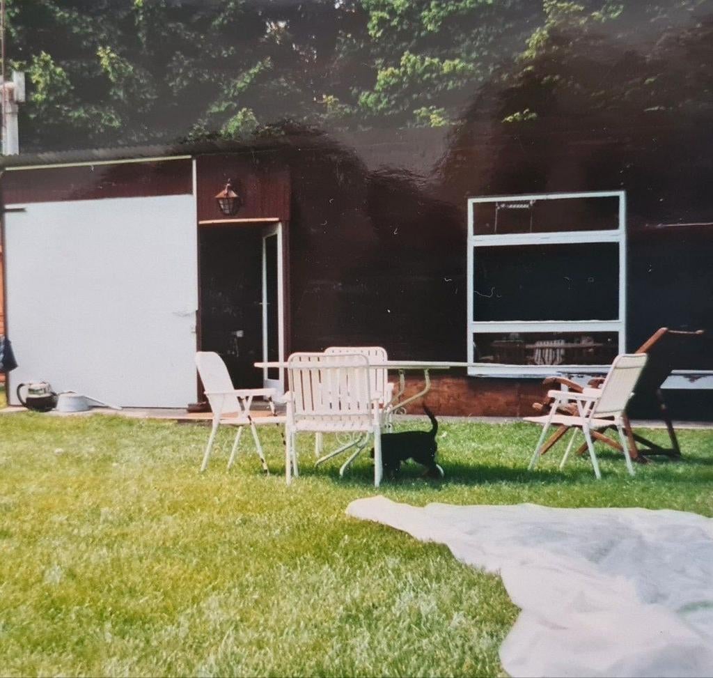 Rustige recreatiegrond te 2820 Rijmenam met chalet, Immo