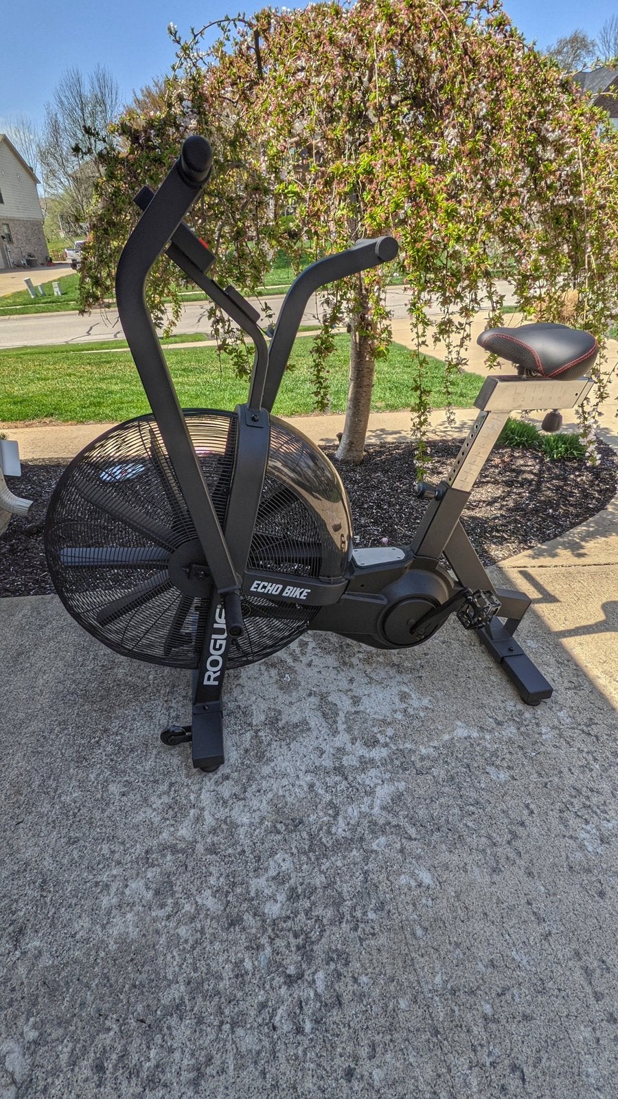 Rogue echo bike, Enlèvement, Comme neuf