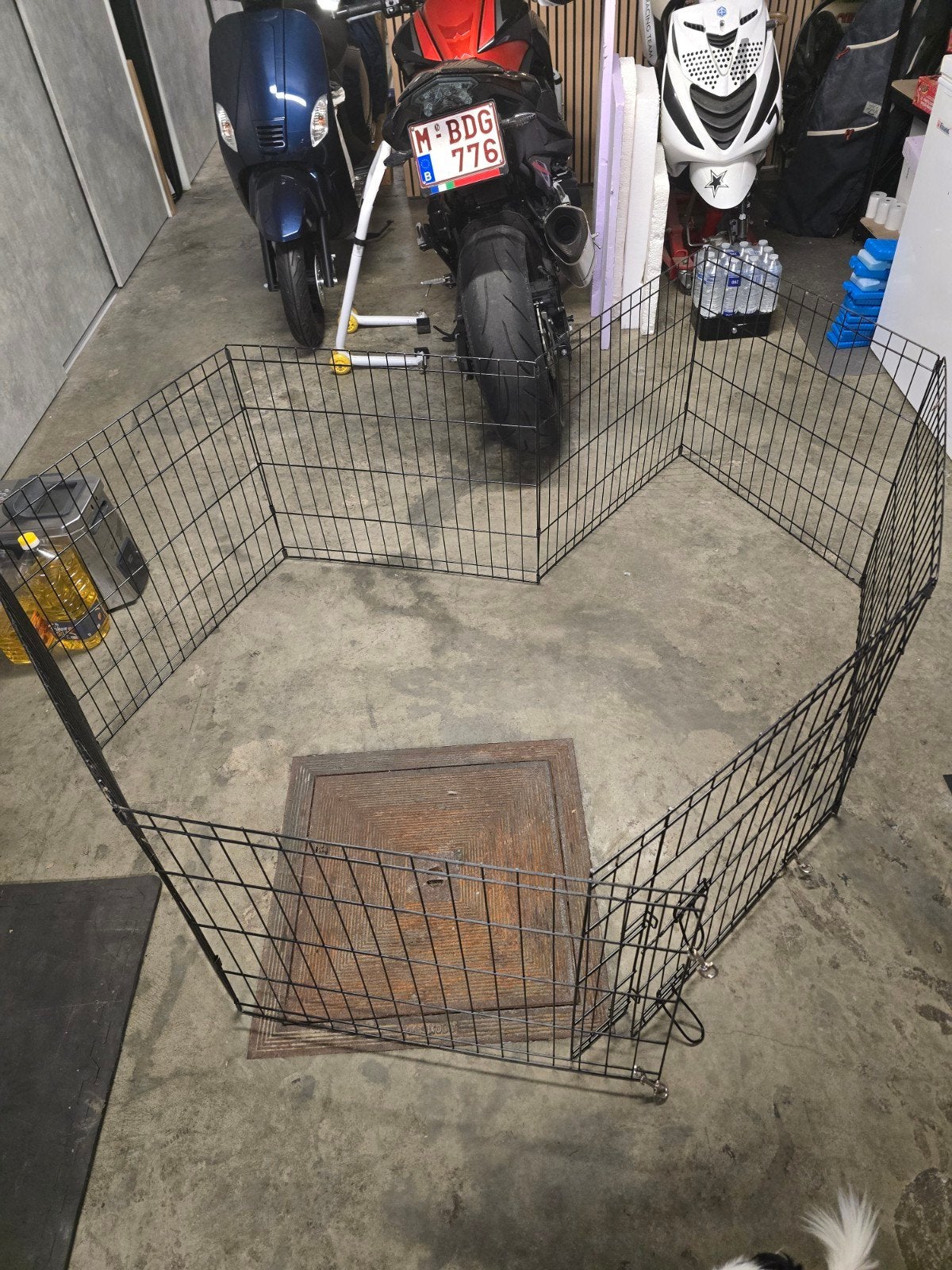 Dierenren voor puppies, kippen, konijn etc, Ophalen, Gebruikt, Minder dan 65 cm, Hondenhok