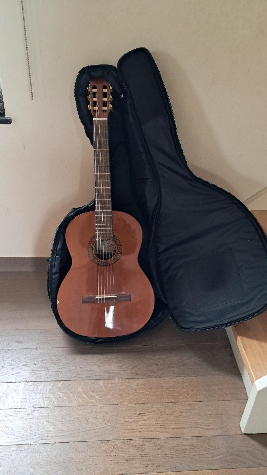 gitaar salvador cortez 22cc, Muziek en Instrumenten, Snaarinstrumenten | Gitaren | Akoestisch, Ophalen, Zo goed als nieuw, Klassieke of Spaanse gitaar