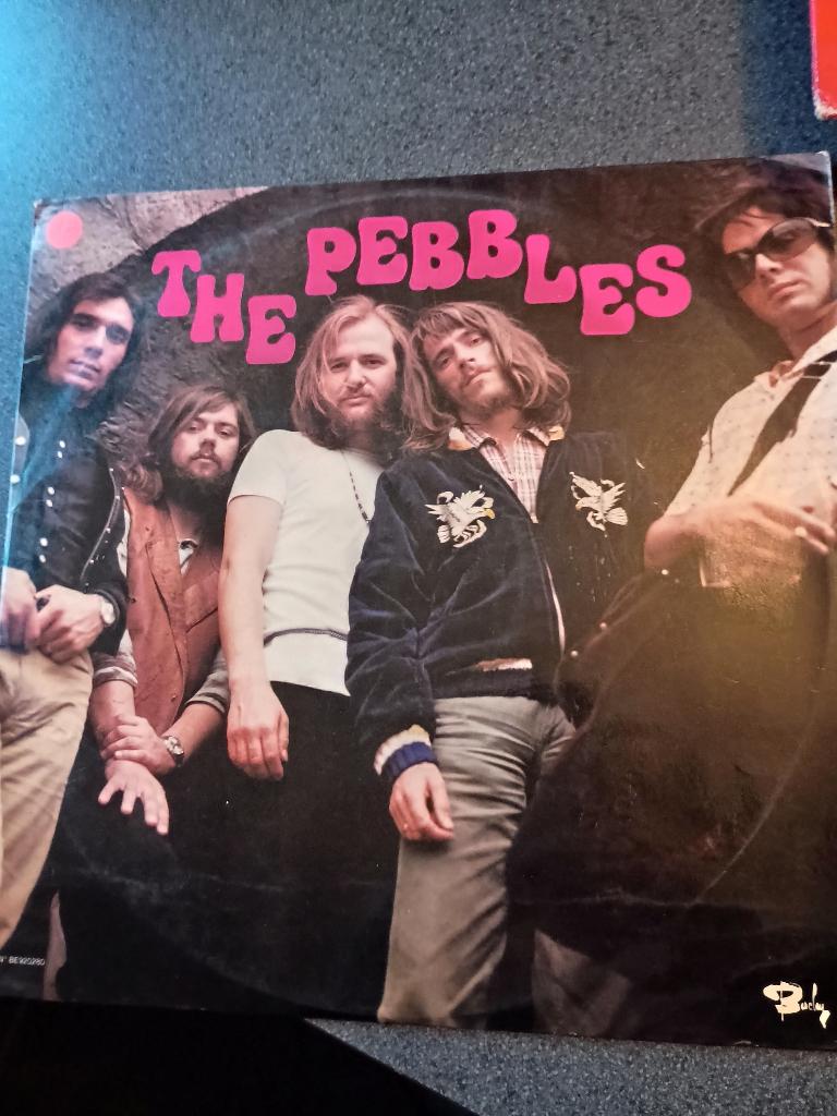 LP / Vinyl - The Pebbles, Cd's en Dvd's, Vinyl | Rock, Gebruikt, Rock-'n-Roll, 12 inch, Ophalen of Verzenden