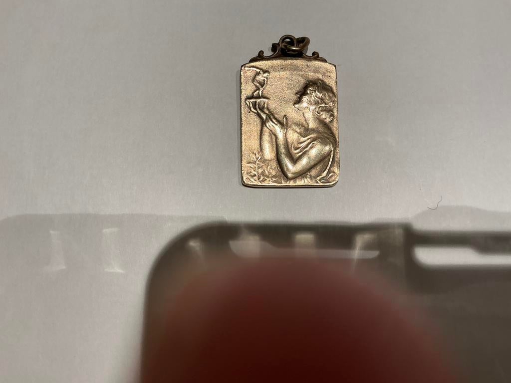 Croix du journal Le Soir - Médaille de 1954, Enlèvement ou Envoi