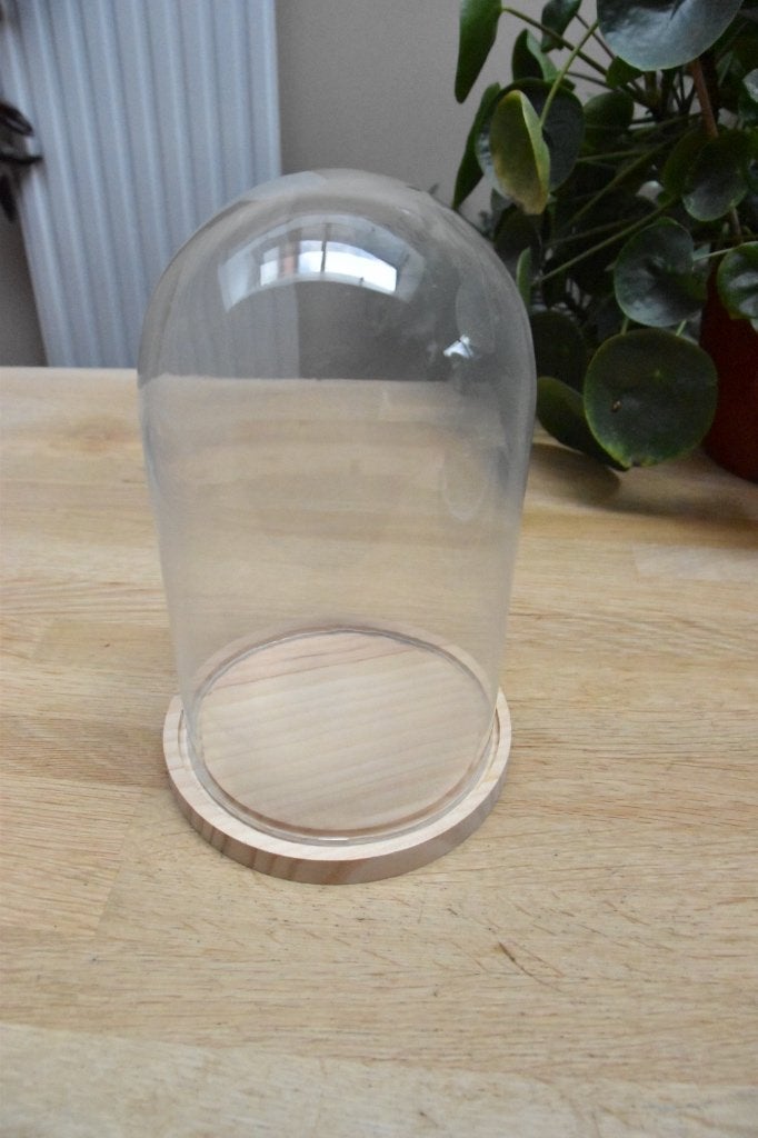 stolp glazen diameter 16,50 cm hoogte 27 cm, Neuf, Avec plateau, 16 cm, Verre