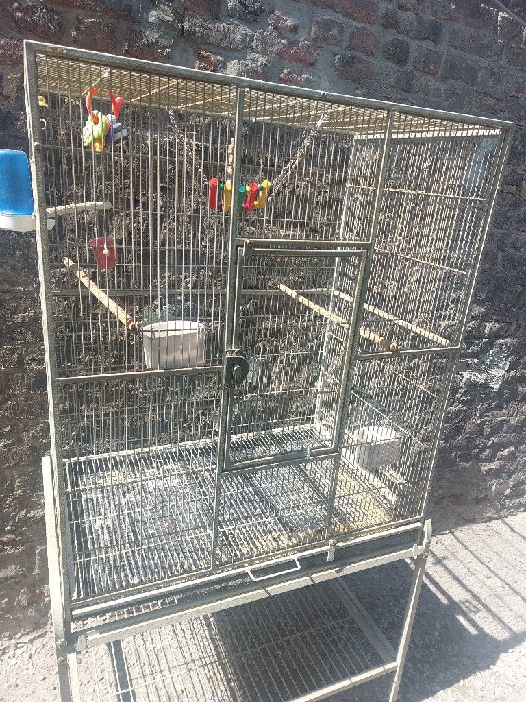 Grande cage pour oiseaux, Ophalen
