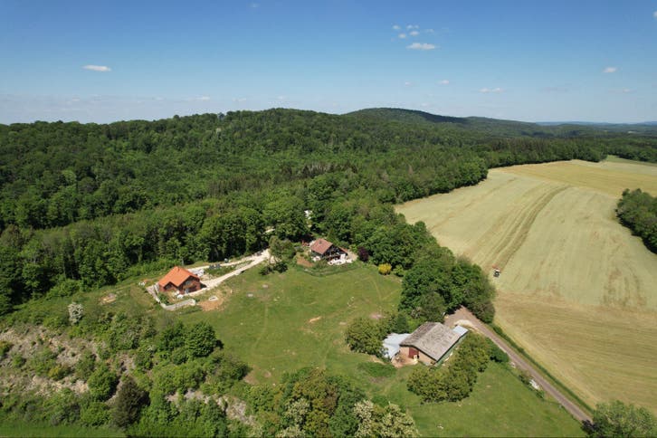 DOMAINE DE TARA – Une propriété d'exception
