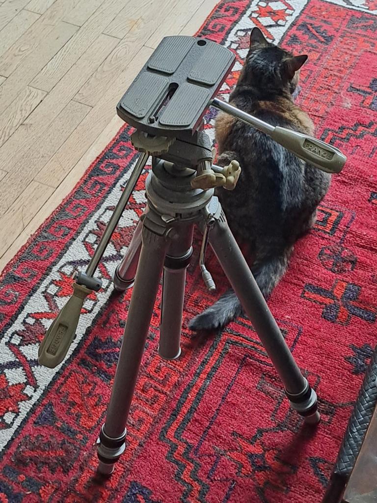 Gitzo Fotostatief - Rack nr3, Audio, Tv en Foto, Fotografie | Statieven en Balhoofden, Ophalen, Driepoot