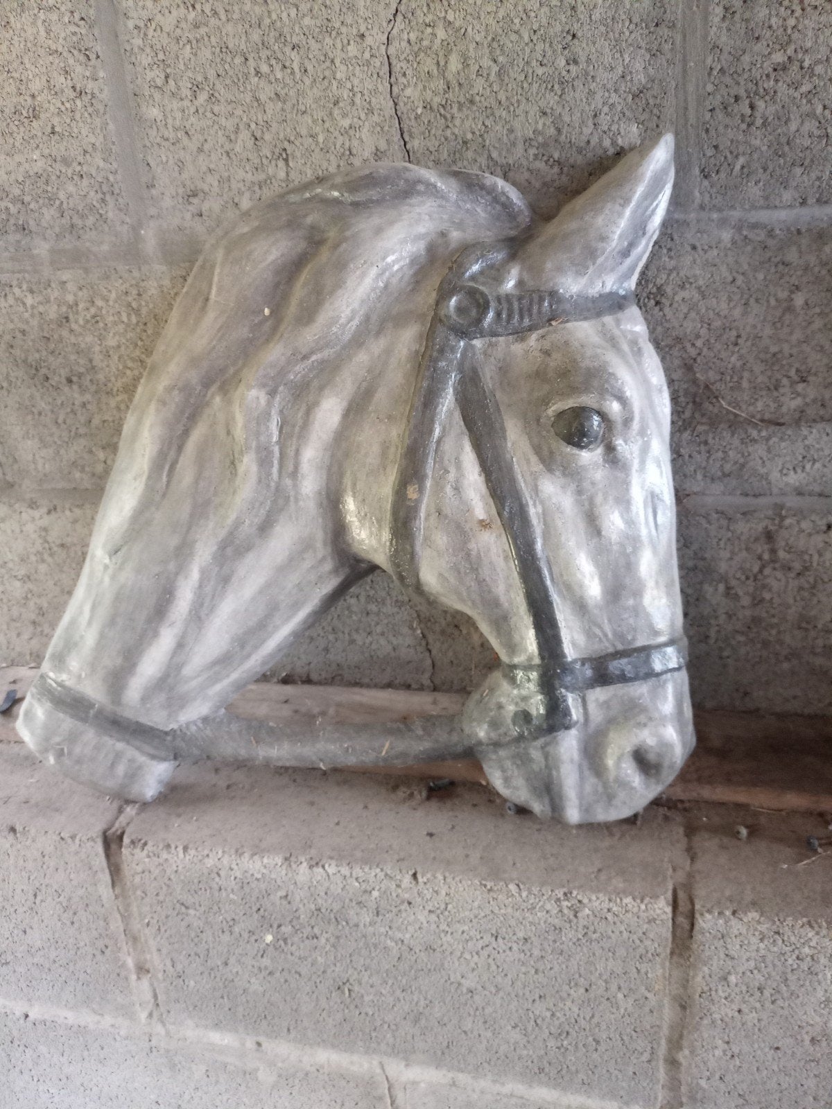 Tête de cheval, Enlèvement