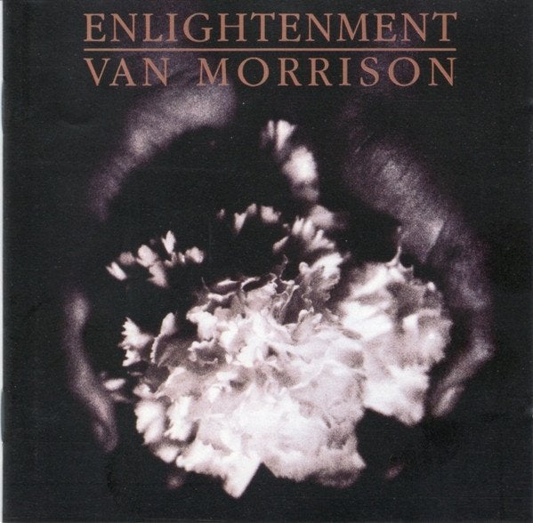 VAN MORRISON " ENLIGHTENMENT, CD & DVD, CD | Jazz & Blues, Enlèvement, 1980 à nos jours, Utilisé, Blues