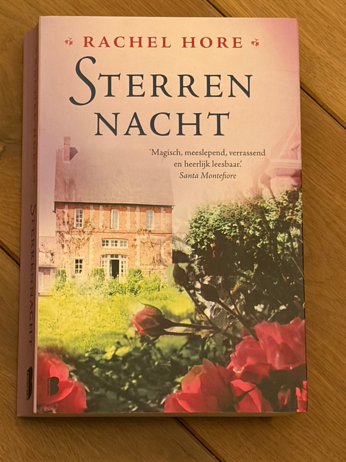 Rachel Hore - Sterrennacht, Boeken, Ophalen of Verzenden, Zo goed als nieuw