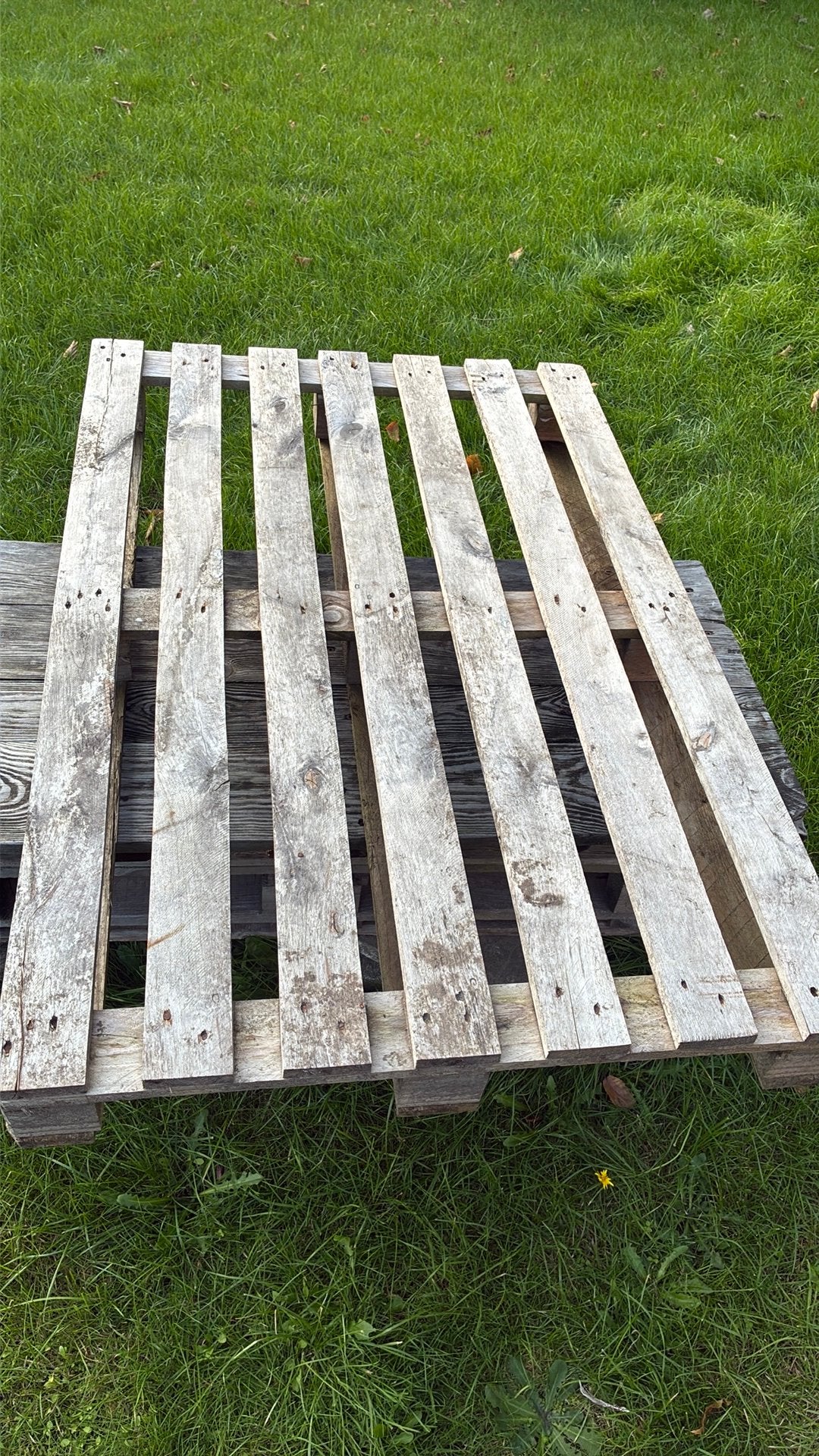Pallet, Ophalen, Gebruikt, 50 mm of meer, Minder dan 200 cm
