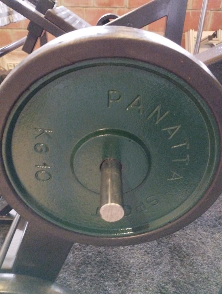 Panatta old school gietijzeren gewicht 25 mm, Sport en Fitness, Ophalen